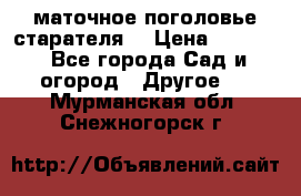 маточное поголовье старателя  › Цена ­ 3 700 - Все города Сад и огород » Другое   . Мурманская обл.,Снежногорск г.